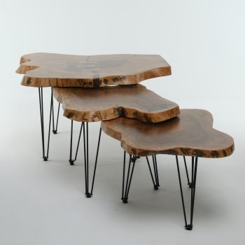 Ceviz Kütük Orta Sehpa